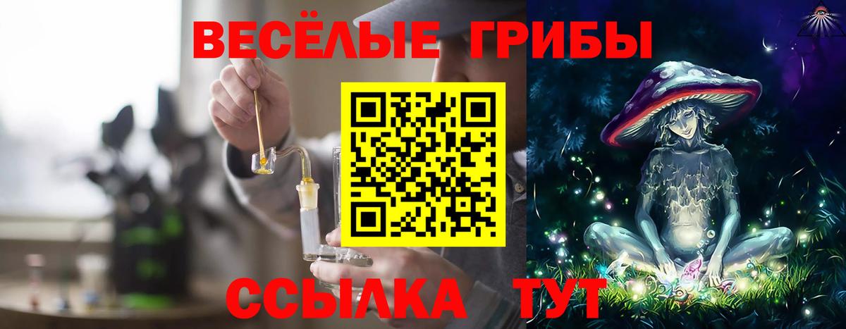 Галлюциногенные грибы Cubensis Санкт-Петербург